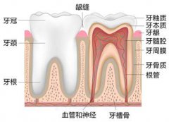 孩子牙釉质发育不全补钙有用吗